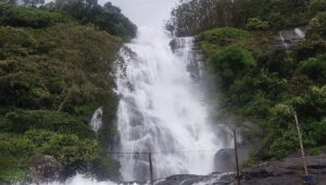 Periyar Falls Tourism Restriction
